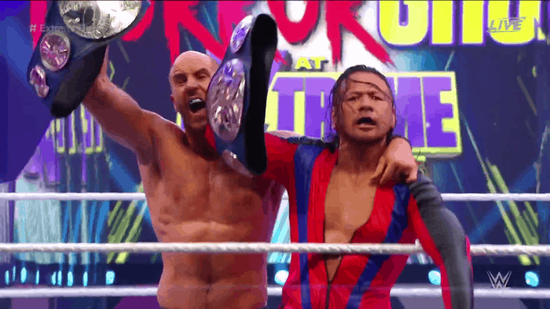 Shinsuke Nakamura and Cesaro